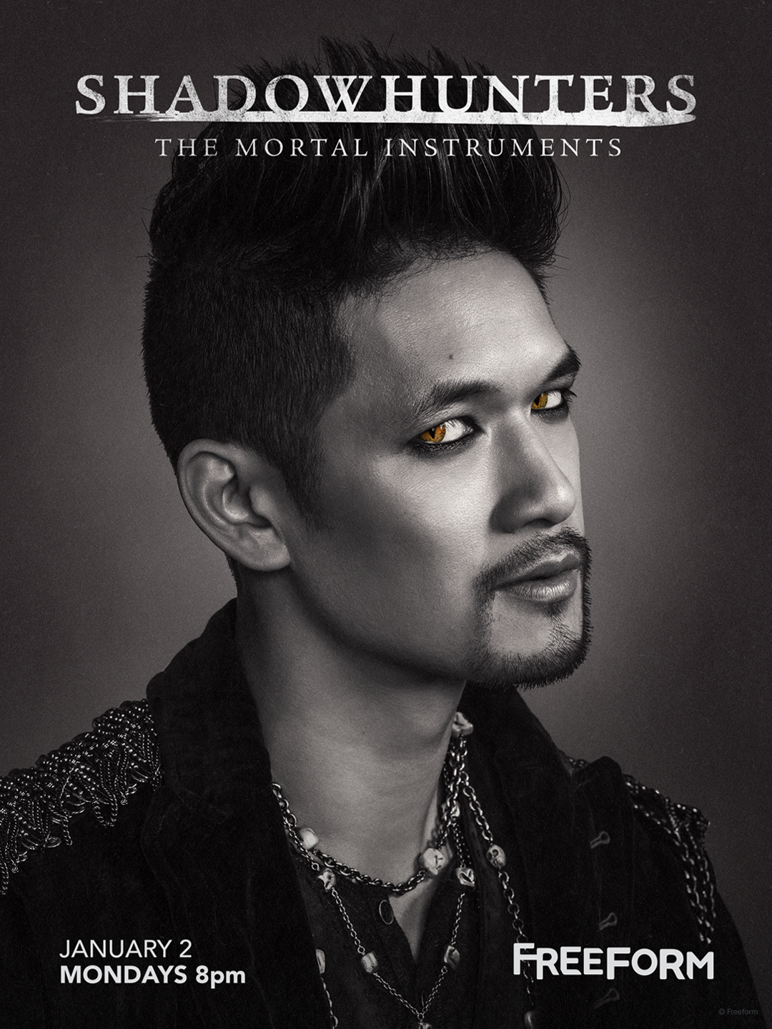 Shadowhunters - Unlock The Official Magnus Poster For Season 2 By Tweeting Us With This Hashtag! - 1002